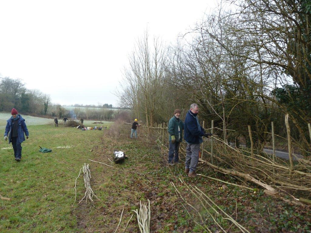 Staking and binding the nearly complete hedge