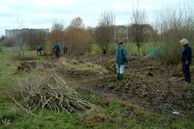 Partially cut willow bed reveals tent.