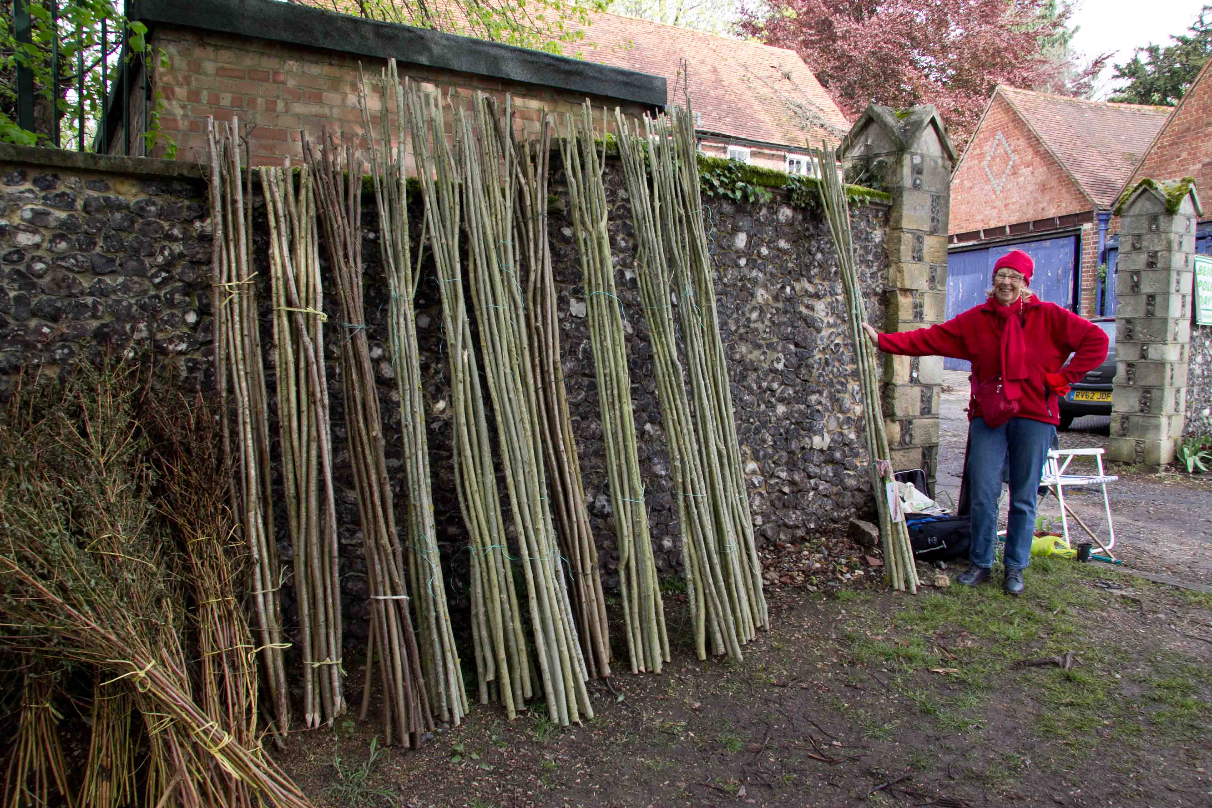 Bean poles for sale