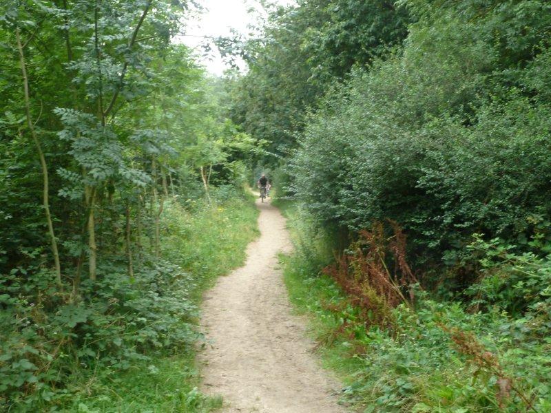 Cyclists negotiating narrow path way