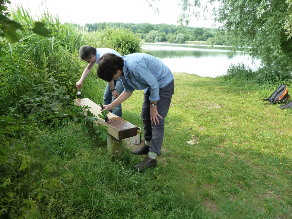 Volunteers treat bench