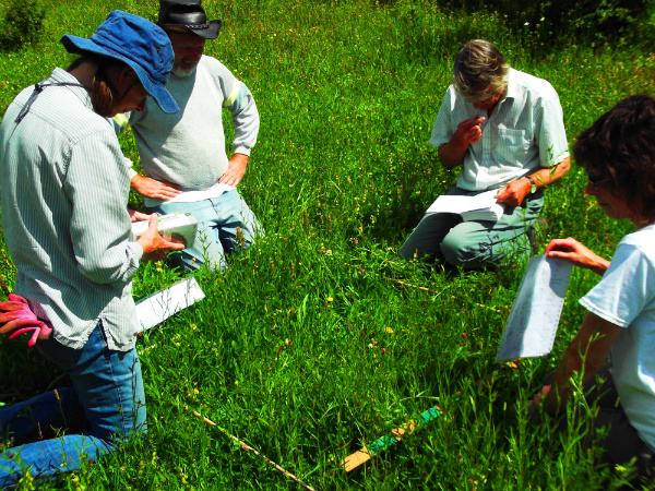 Volunteers counting