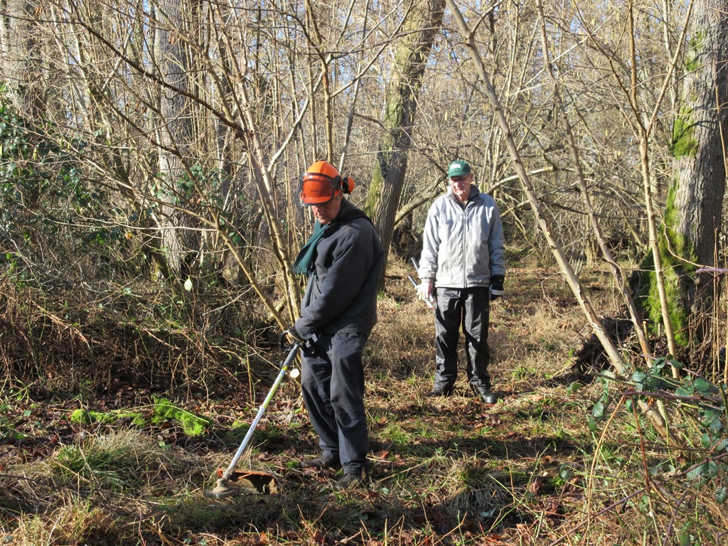 January 2019 ~ Moor Copse Nature Reserve ~ Path clearance and coppicing