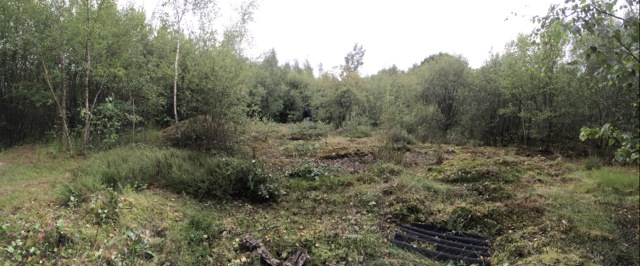Panoramic view of site