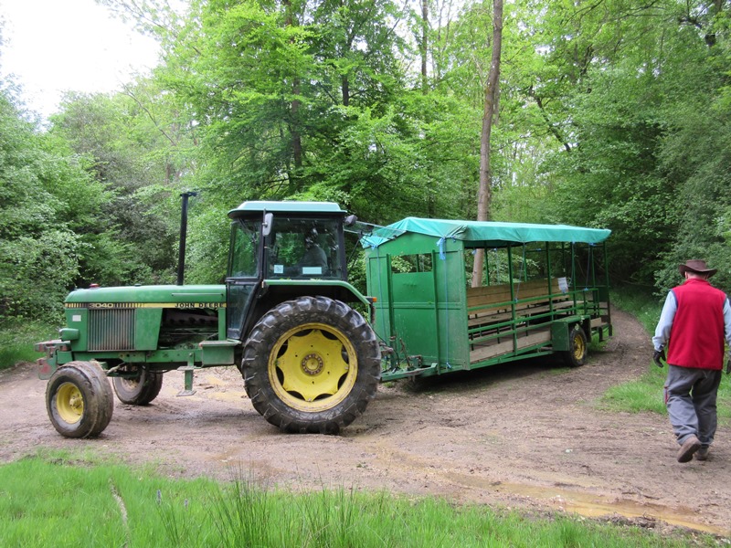 May 2015 Rushall Farm Bradfield Ride Clearance   RushallFarmMay201509.JPG