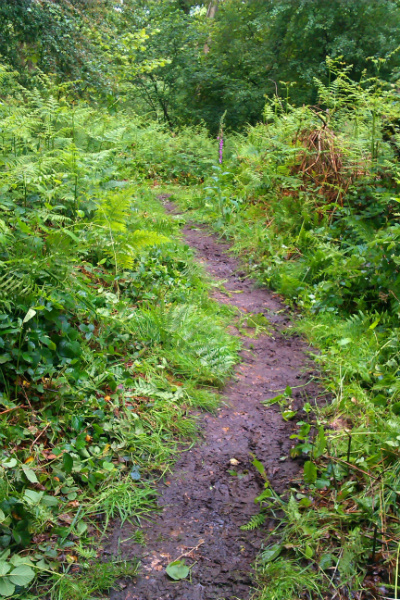 Cleared footpath