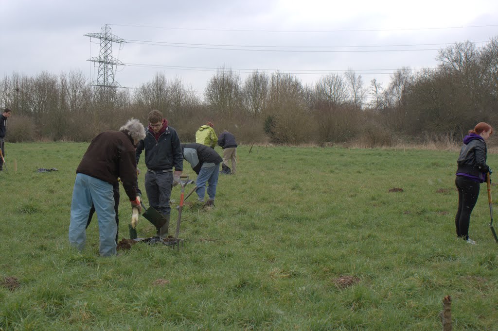 Friends of Waterloo Meadows